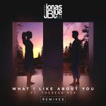 What I Like About You(Marvin Vogel Remix)-cover