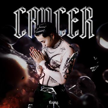 蒲公英-cover