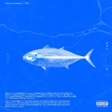 鱼-cover