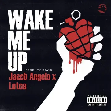 Wake Me Up-cover