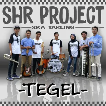 shr-project-tegel-cover-image