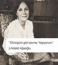 Yaşıyorum Ölesiye -cover