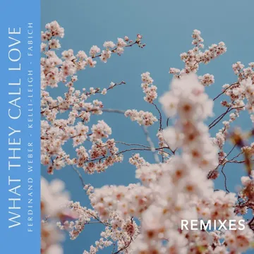 What They Call Love (Audra Remix)-cover