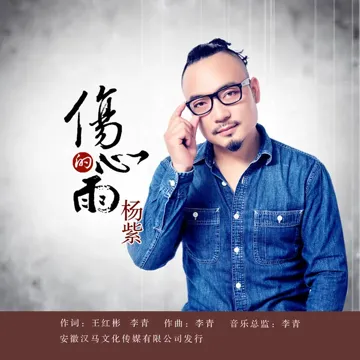 伤心的雨-cover