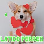 Indeciso-cover