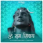 Om Namah Shivay-cover