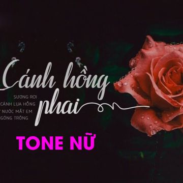 Cánh Hồng Phai - Tone Nữ - Karaoke-cover