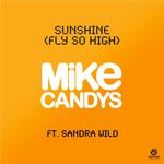 Sunshine(Fly So High)(2012 Original Mix)-cover