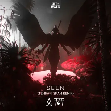 Seen (Tenka & Skan Remix)-cover