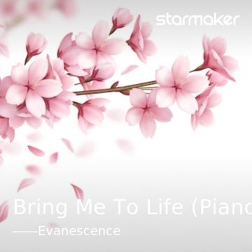 Bring Me To Life-cover