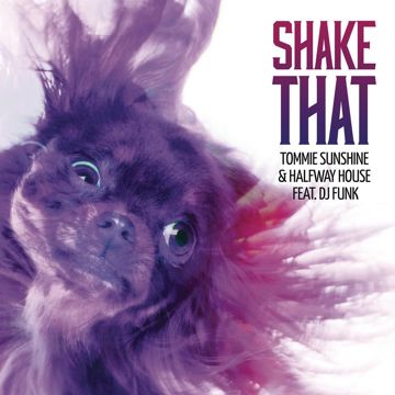 Shake That (Radio Edit)-cover