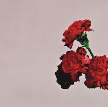 For Love-cover