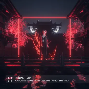 All the Things She Said-cover
