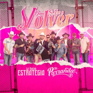 Dime Si Vas A Volver - En Vivo-cover