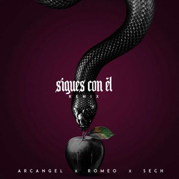 Sigues Con El (Remix)-cover
