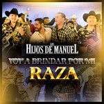 Voy A Brindar Por Mi Raza-cover