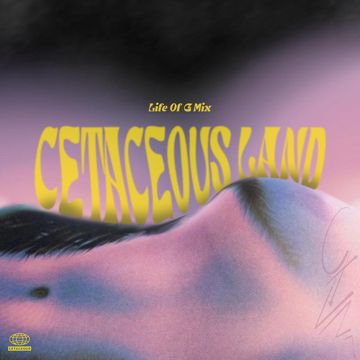 Life Of G Mix-cover