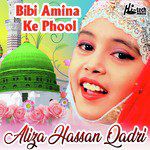 aliza-hassan-qadri-bibi-amina-ke-phool-cover-image