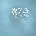 带不走-cover