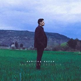Yaban Gülüm-cover
