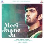Meri Jaane Ja-cover