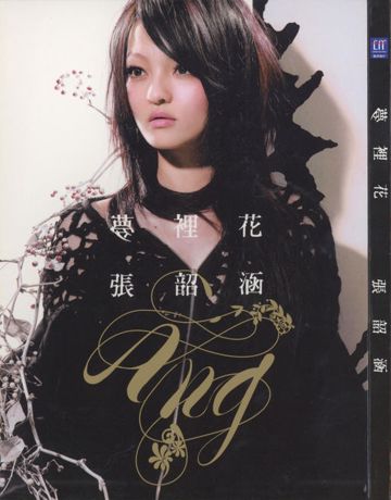 隐形的翅膀-cover