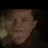桃花过渡-cover