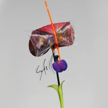 STIll-cover