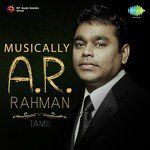 Kadhal Sadugudu (From &quot;Alaipayuthey&quot;)-cover