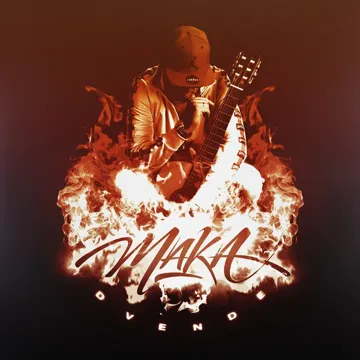 Dvende-cover
