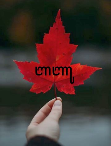 DJ 1 mnt Banyu Kiss me