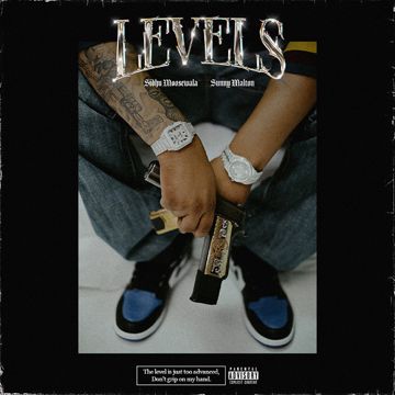Levels-cover