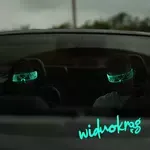 Widnokrąg-cover