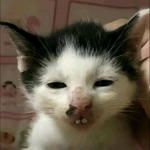 vbass-chiu-nay-n-lu-b-cover-image