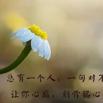 一袭白袍-cover