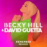 Remember(Dubdogz Remix)-cover