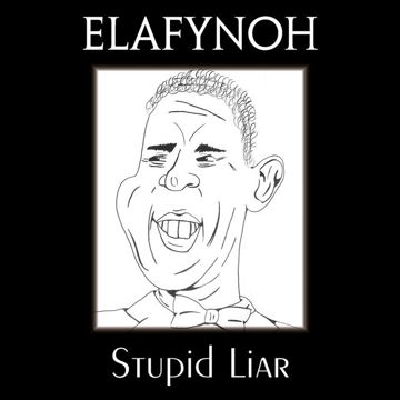 Stupid Liar-cover