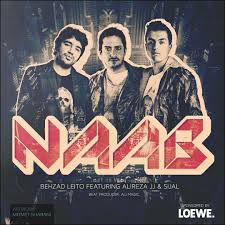 Naab-cover