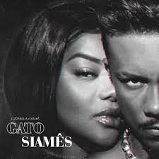 Gato Siamês-cover