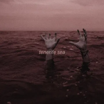 tenerife sea-cover