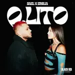 Q-Lito-cover