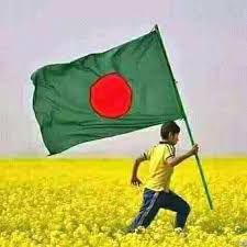 সবুজের বুকে লাল সেতো উড়বেই 