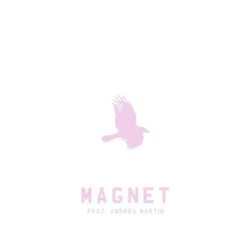 Magnet-cover