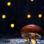 全都是戲