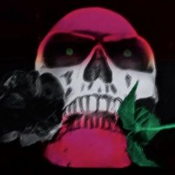Black Roses