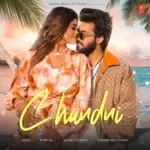 Chandni-cover