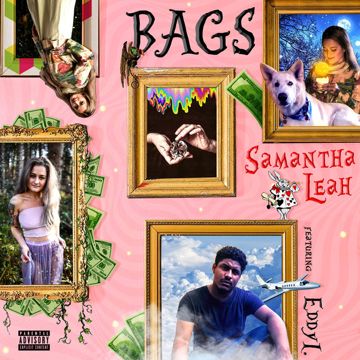 BAGS-cover