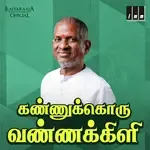 Yaar Azhuthu Yaar Thuyaram-cover