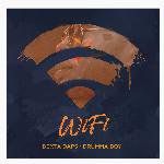 WiFi-cover