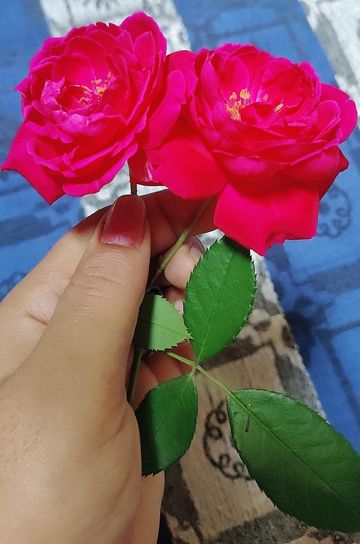 Tere Binaa by A.farhan-cover